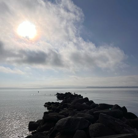 johannakillustration