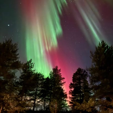 Aurora_Borealis-Norrbotten