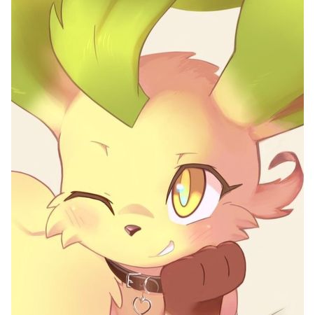 EEVOJ