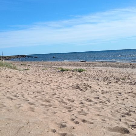 Skreastrandskatt
