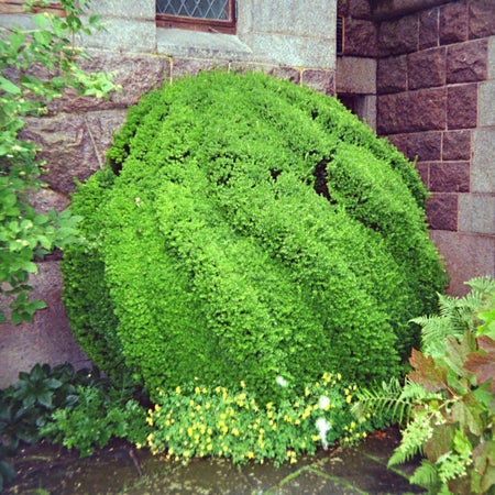 syzygy_feng