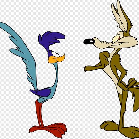 MacCoyote
