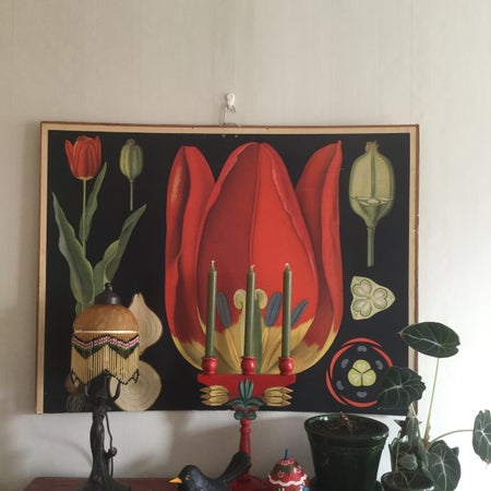 powerpuffpau