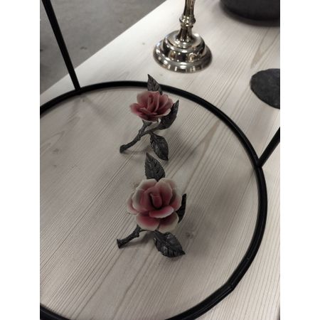 self-assured_raccoon