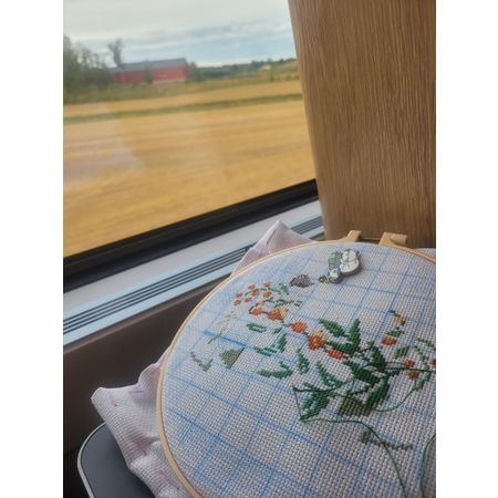 mokja
