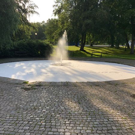 Bojlis81
