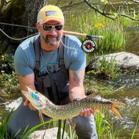 TroutAndPike