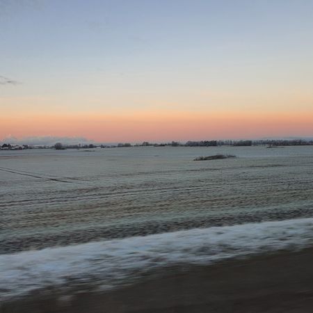 Selma C