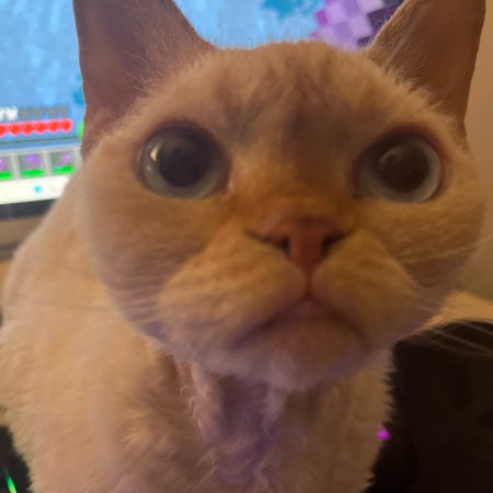 alexaandraJ