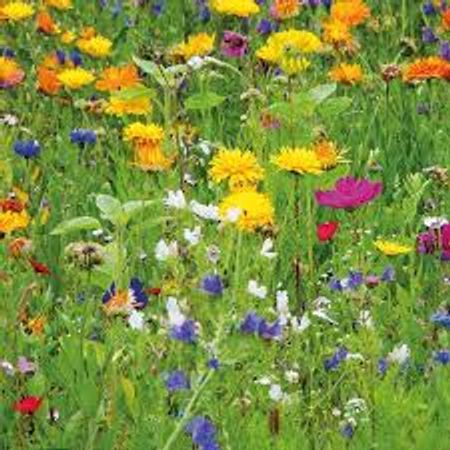 Blomstermix