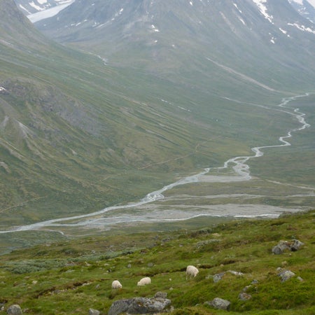 Davidsjokvist
