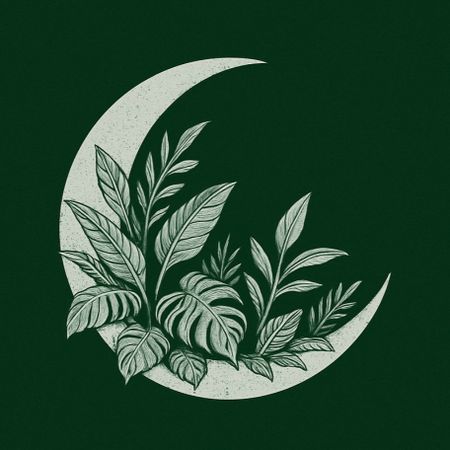 Luna_Amazonica