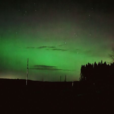 aalvarsson