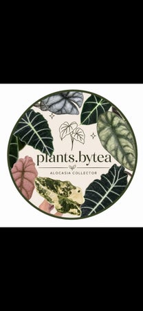 Plants.ByTea