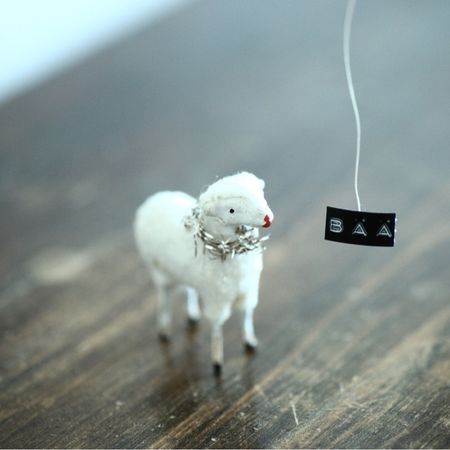 charlotteälskarloppis