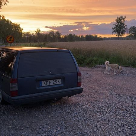 Rasmus031