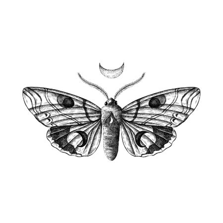 Moth and Moon