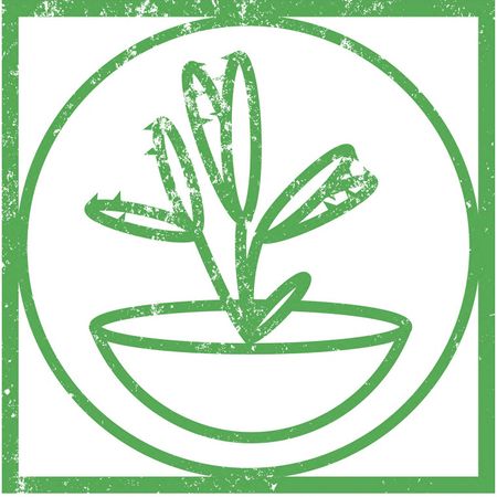 Plantagerna