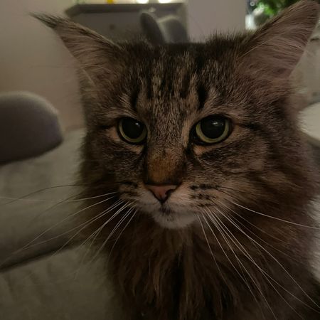 MissNorma