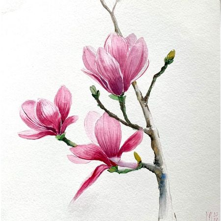 Magnoliaprinsessan