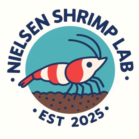 Nielsen Shrimplab