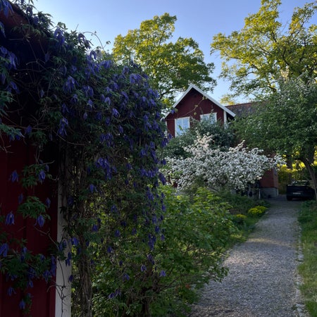 Friluftsdag