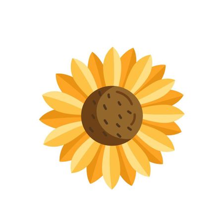 Solrosen07