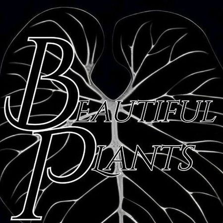 beautifulplants