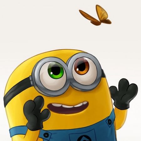 Ahmedalhafidh