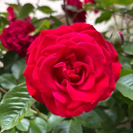 Lmarie73