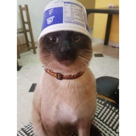 Khoi