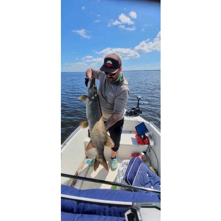 Bigfish459