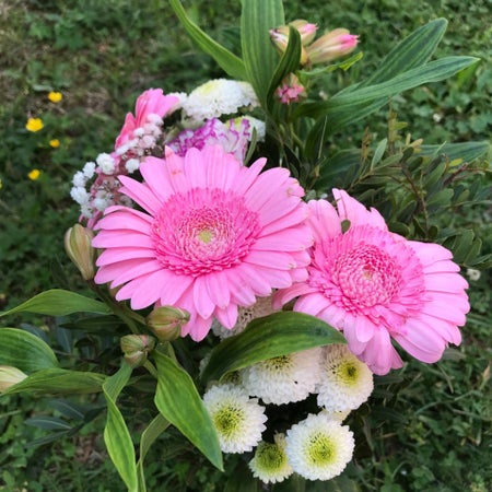 Blomma84