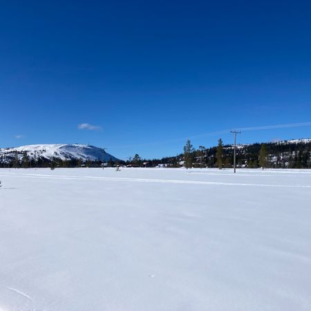Tåban84