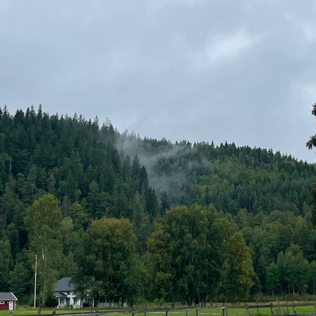 helt_rimligt