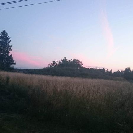 MatteNay