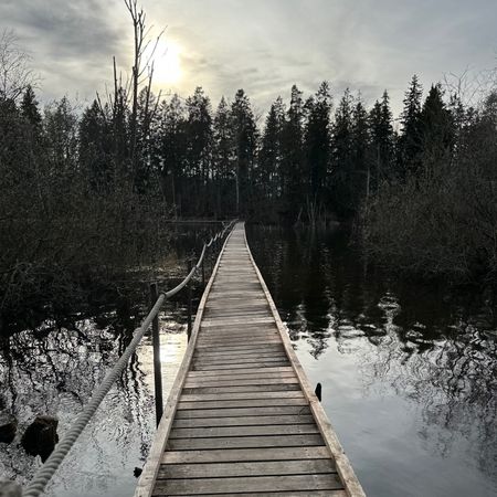 SebbeSjöberg