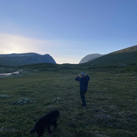 Bergvall71_