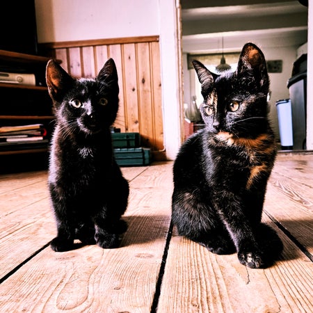 soot_and_spark