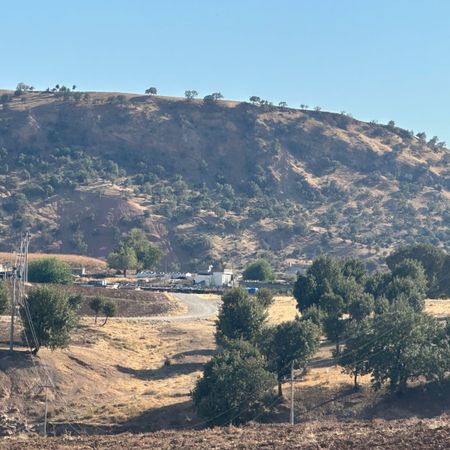 SaliMan