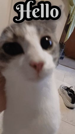 Edgar14