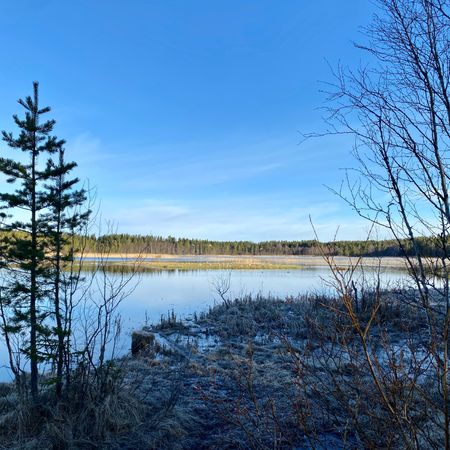 AnnaÖsd