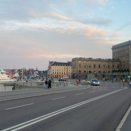 Johanringborg