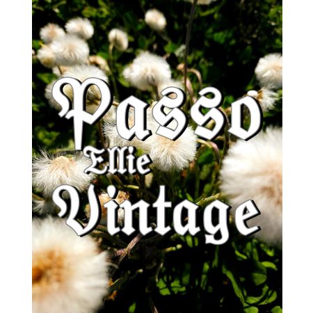 PassoEllieVintage