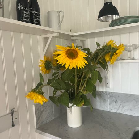 madeleine.petersson