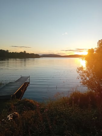 mullbäret1