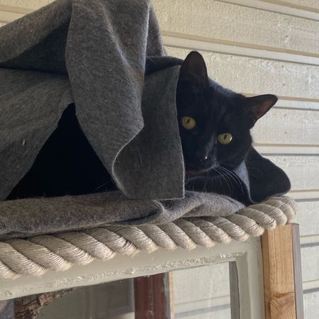 second_hand_pomegranate