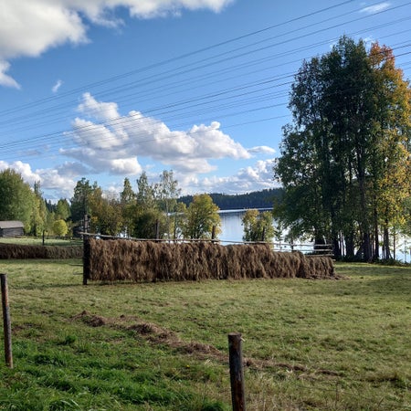 marjakringberg