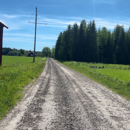 sofiafredriksson
