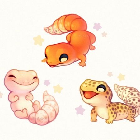 healthy_gecko